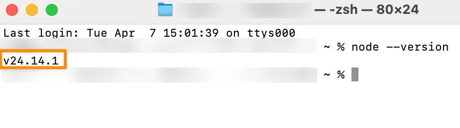 Checking Node.js version