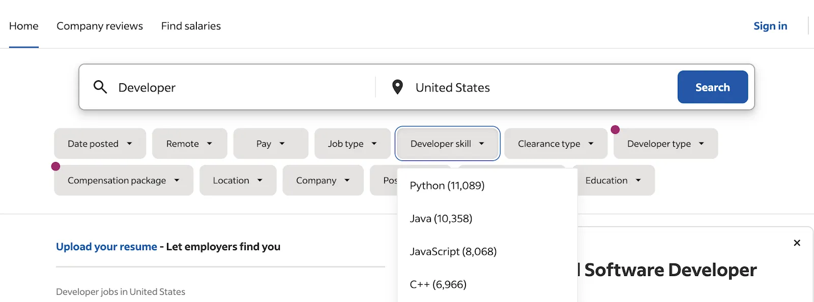 Job search interface for developer roles in the US with filters for skills like Python, Java, and JavaScript.
